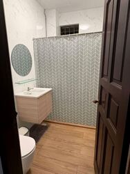 Joo Chiat Place (D15), Detached #560820701